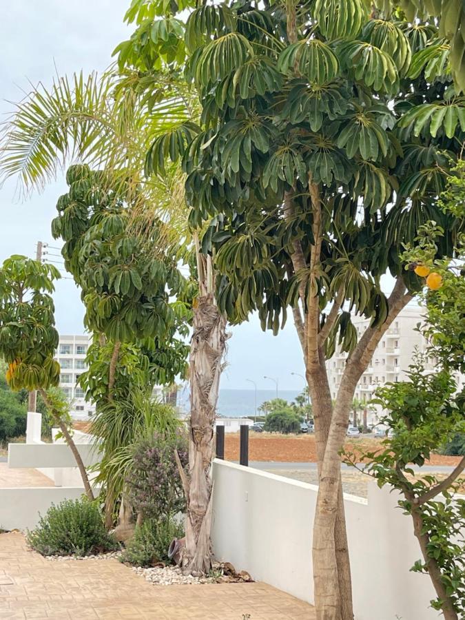 Tonia Seaview Villas بروتاراس المظهر الخارجي الصورة